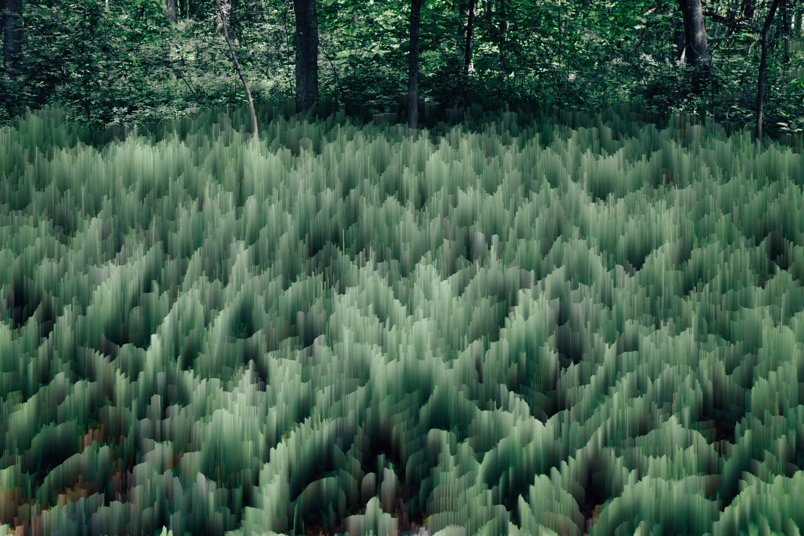 Pixel sorted image of a wooded forest